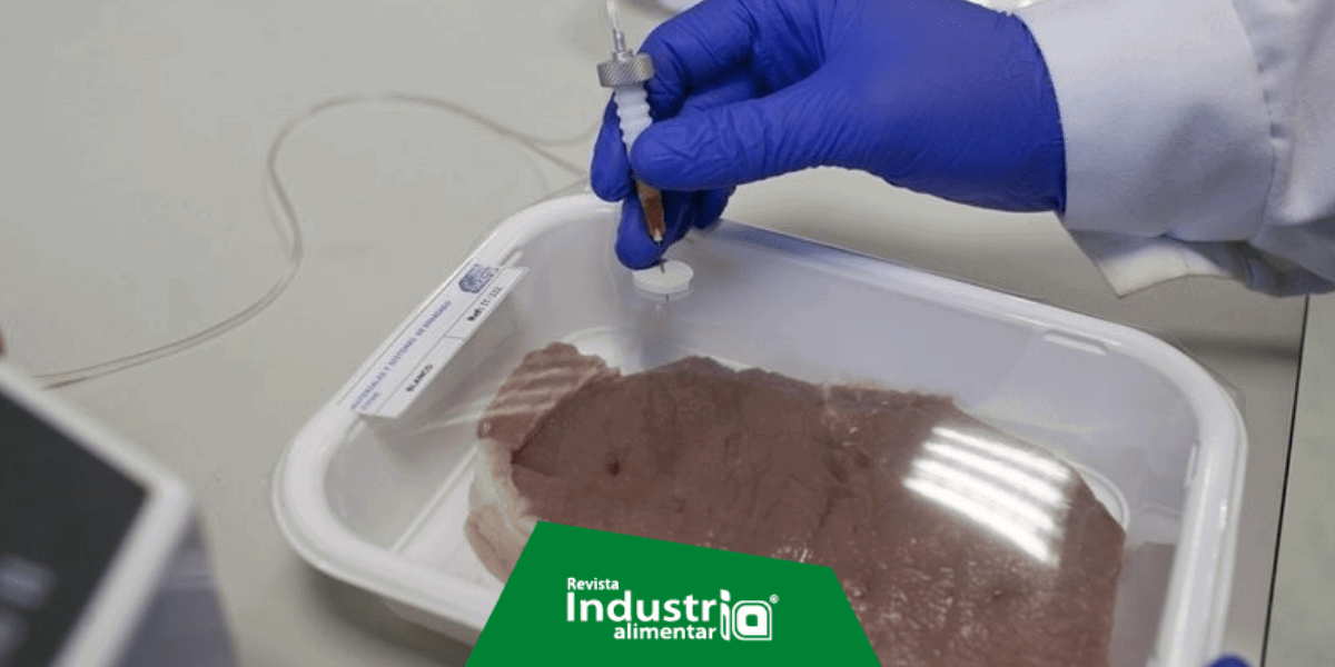 Imagen del artículo Envases de alimentos contribuyen a frenar el desperdicio de alimentos